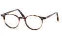 Pantos 1 Tortoise 40
